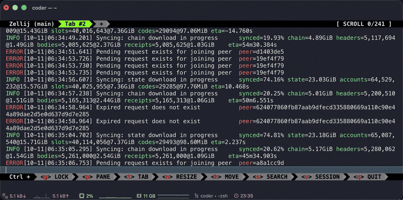 Stopping the node safely with Ctrl+C