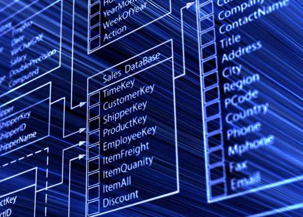 database database