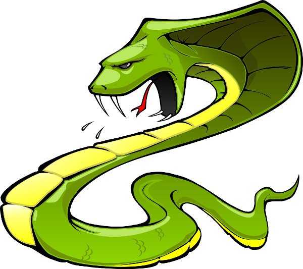 viper viper