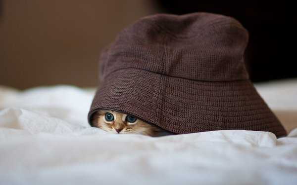 secrets secrets