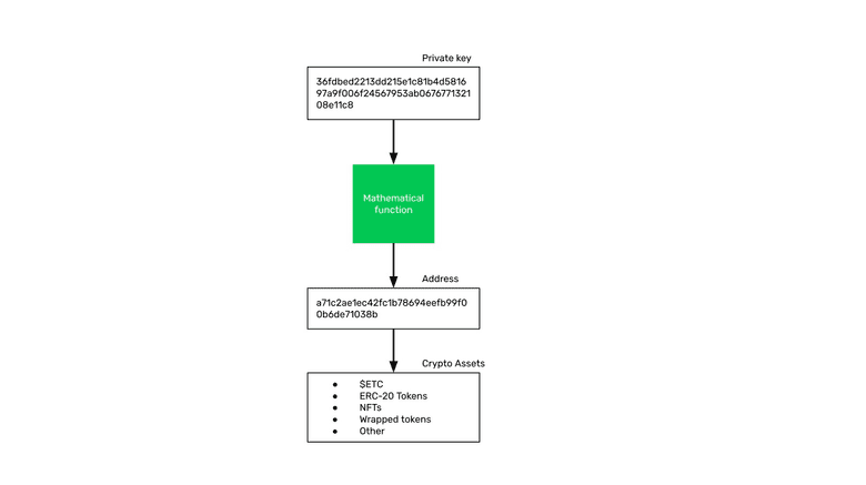 The crypto assets are held under the address. The crypto assets are held under the address.