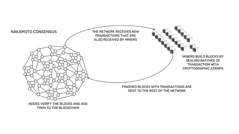 Nakamoto Consensus Process. Nakamoto Consensus Process.
